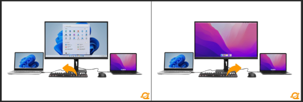 c024fa15b049d9286ac69b0218d0222d_1746605584_2839.png