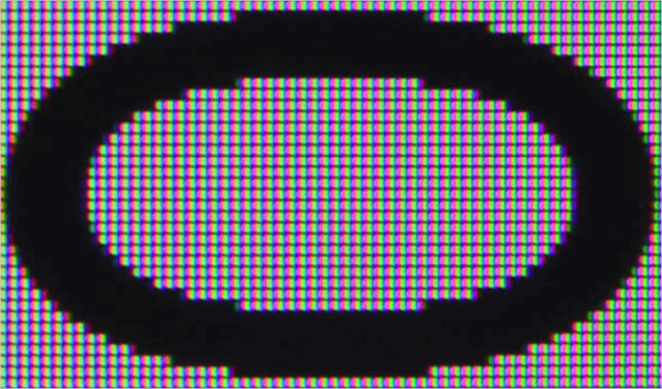 84238afb5bbdb7302c5ef23e56414cf8_1779884416_7815.jpg