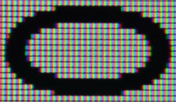 b034ed7580c8e0c2e00687ec990a0dcf_1778198897_7651.jpg